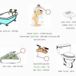xả nước bồn cầu tiếng anh