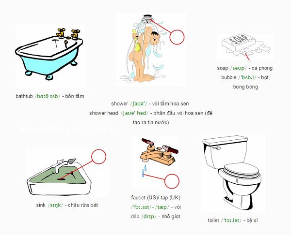 xả nước bồn cầu tiếng anh
