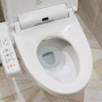 cách xả nước bồn cầu thông minh